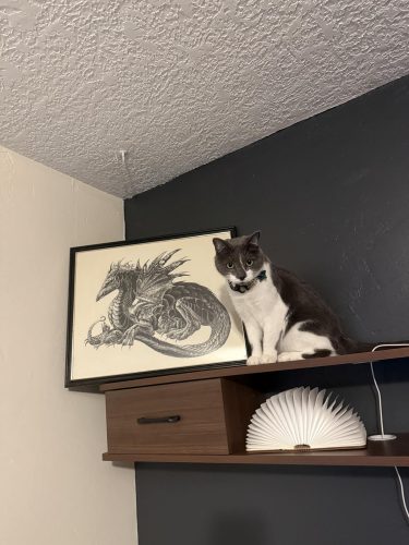 Valmo Floating TV Stand photo review