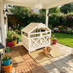 Decorative wooden dog kennel in soft white with a canvas roof and a tufted white bed, placed on a patterned rug in a bright, modern room.